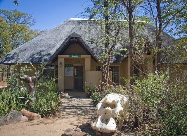 South Africa Kruger National Park Sirheni Camp Sirheni Camp Africa - Kruger National Park - South Africa