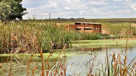 Marievale Bird Sanctuary