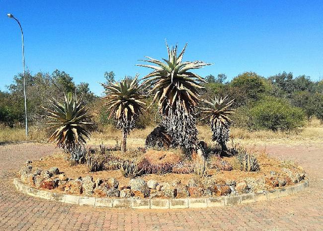 Botsuana Gaborone  Jardín Botánico Nacional Jardín Botánico Nacional Gaborone - Gaborone  - Botsuana