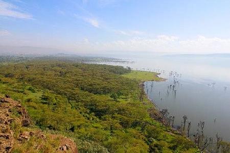 نظام بحيرة كينيا في وادي ريفت