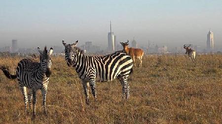 Parque Nacional de Nairobi