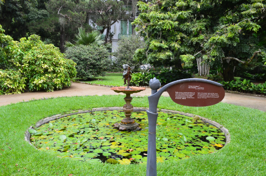 Brazil Rio De Janeiro Botanical Garden Botanical Garden South America - Rio De Janeiro - Brazil