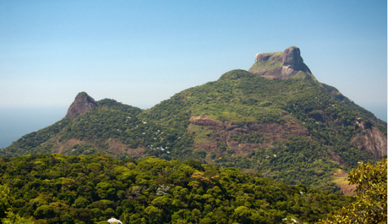 Brasil Rio De Janeiro Parque Nacional Tijuca Parque Nacional Tijuca Rio De Janeiro - Rio De Janeiro - Brasil