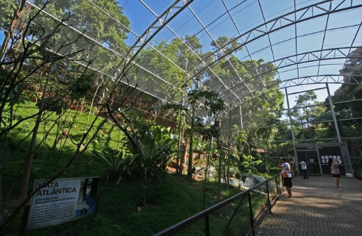 Brazil Salvador Salvador Zoo and Botanical Park Salvador Zoo and Botanical Park Salvador - Salvador - Brazil