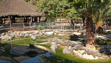 Hotels near Crocodile Park  Torremolinos