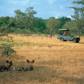 Tanzania Morogoro  Selous Game Reserve Selous Game Reserve Tanzania - Morogoro  - Tanzania