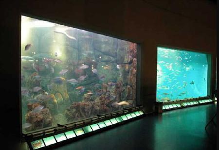 Aquarium Finisterrae o Casa de los Peces