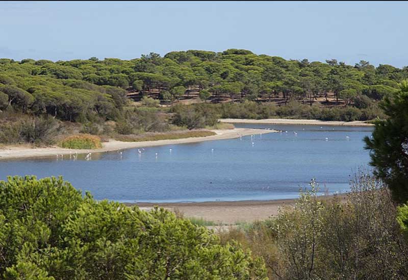 España Huelva Laguna del Portil Laguna del Portil Huelva - Huelva - España