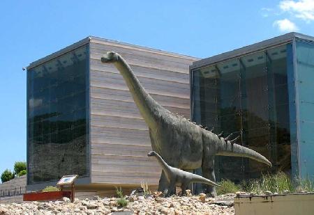 Paleonthological Museum