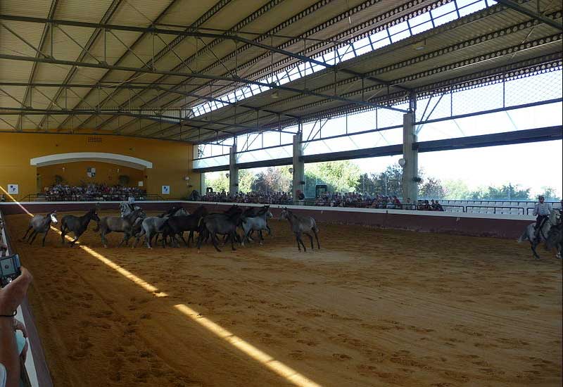 Spain Jerez de la Frontera Los Lagos Equestrian Center Los Lagos Equestrian Center Cadiz - Jerez de la Frontera - Spain