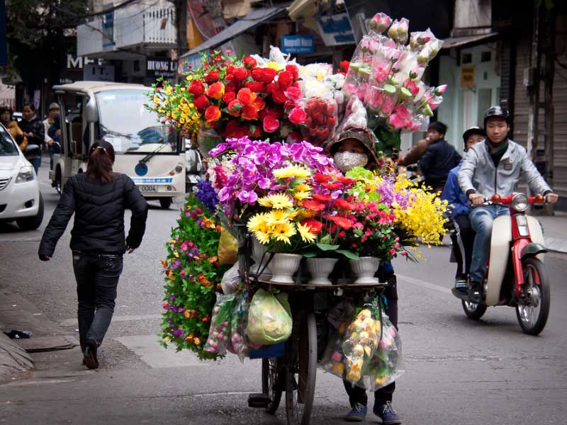 Vietnam Ha Noi  Mercado de Flores Quang Ba Mercado de Flores Quang Ba Vietnam - Ha Noi  - Vietnam