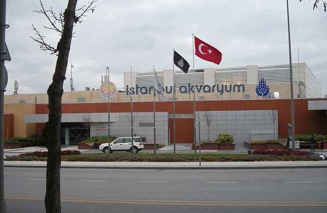 Turquía Estambul Acuario de Estambul Acuario de Estambul Estambul - Estambul - Turquía