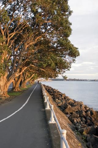 Nueva Zelanda Auckland  Tamaki drive y Orakel Tamaki drive y Orakel Nueva Zelanda - Auckland  - Nueva Zelanda