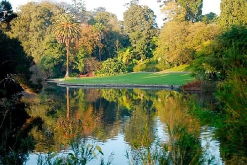 Australia Melbourne  Jardín Real Botánico Jardín Real Botánico Australia - Melbourne  - Australia