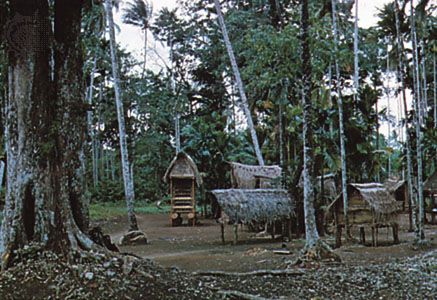 Milne Bay 