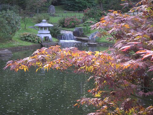 Bélgica Hasselt  Jardín Japonés Jardín Japonés Limburg - Hasselt  - Bélgica