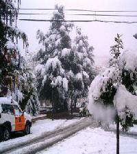 Las mejores ofertas de A.R.El Jarral Jarafuel