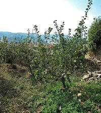 Las mejores ofertas de Casa Iserena ( Ii) Azanza