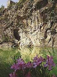 Las mejores ofertas de Serrano Bolbaite