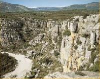 Las mejores ofertas de Casa Vicentica Rosildos