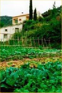 Las mejores ofertas de Casa Racó de L'om Andilla