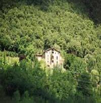 Las mejores ofertas de El Roquer Riudaura