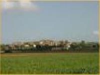 Las mejores ofertas de Mas  Parnau Casavells