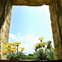 Las mejores ofertas de Cal Xelín Colonge de Segarra