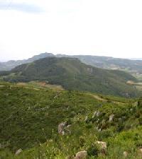 Las mejores ofertas de Ca La Pona L Arbocar