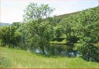 Las mejores ofertas de A Casa Do Cura Hermisende 