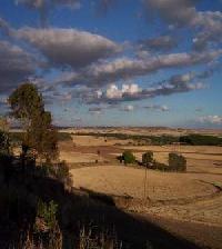 Las mejores ofertas de Fuentelcarro Fuentelcarro