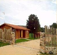 Las mejores ofertas de Interpretacion Del Bosque Bayubas De Abajo 