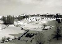 Las mejores ofertas de La Bodega Cogeces Del Monte 