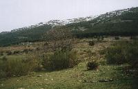 Las mejores ofertas de Refugio La Hondilla Matabuena 