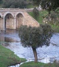 Las mejores ofertas de El Charro de Yeltes ( Ii) Villares De Yeltes