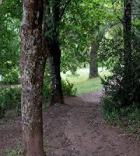 Las mejores ofertas de Jardín Del  Conde Peñacaballera