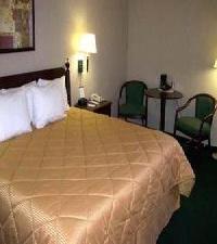 Las mejores ofertas de Comfort Inn Downers Grove Chicago