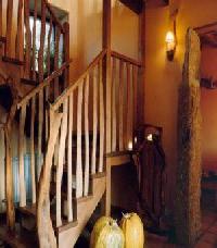 Las mejores ofertas de Árboles La Bouza