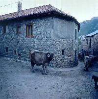 Las mejores ofertas de El Canto Del Gallo Ranedo de C urueño