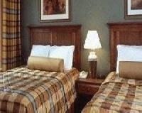 Las mejores ofertas de Amerisuites Fort Worth Dallas 