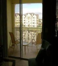 Las mejores ofertas de Cane Island Orlando 