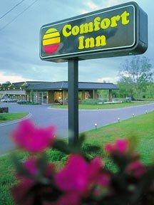 Las mejores ofertas de Comfort Inn (Saint George) Charleston 