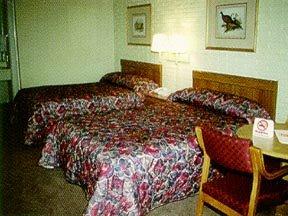 Las mejores ofertas de Econo Lodge (Summerville) Charleston 