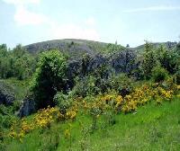 Las mejores ofertas de Casa de La Pradera Olmos de Atapuerca