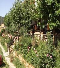 Las mejores ofertas de de Riópar Riópar 