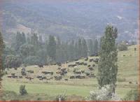 Las mejores ofertas de Cortijo Puente Faco Riópar 