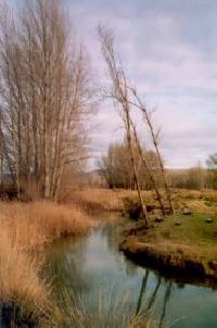 Las mejores ofertas de La Bodega Del Abuelo (2) Bujalaro 