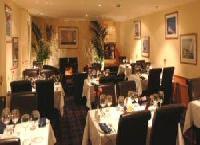 Las mejores ofertas de The Wide Mouthed Frog OBAN