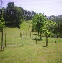 Las mejores ofertas de Apartamentos Rurales Rulolla Róiz