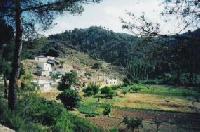 Las mejores ofertas de Arnelia Casas Rurales Bogarra 